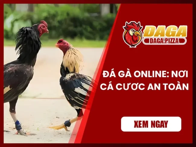 Đá gà online: Nơi cá cược an toàn