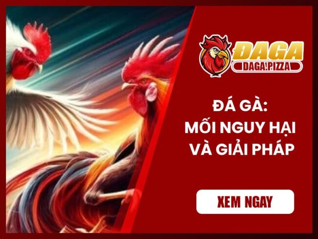 Đá gà – Mối nguy hại và giải pháp